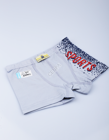 Biyokids Çocuk Erkek 2-3 Yaş Baskılı Renkli Boxer Koyu gri