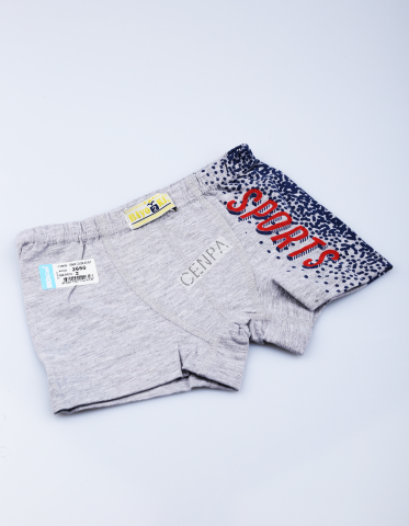Biyokids Çocuk Erkek 2-3 Yaş Baskılı Renkli Boxer Açık Mavi