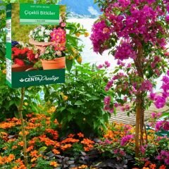 ﻿Genta Prestige Çiçekli Bitkiler Katı Bitki Besini