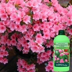 Genta Prestige Ortanca Rododendron ve Açelya Sıvı Bitki Besini -  500 ml