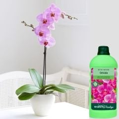 Genta Prestige Orkide Sıvı Bitki Besini -  500 ml