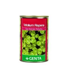 Genta Trifolium Repens Süs Yoncası Tohumu - 250 gr