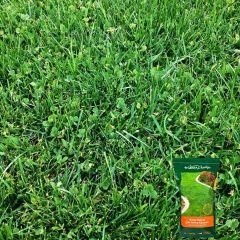 Genta Prestige Kolay Bakım Çim Yonca Karışımı - Easy Care Grass Clover Mix - 10 kg