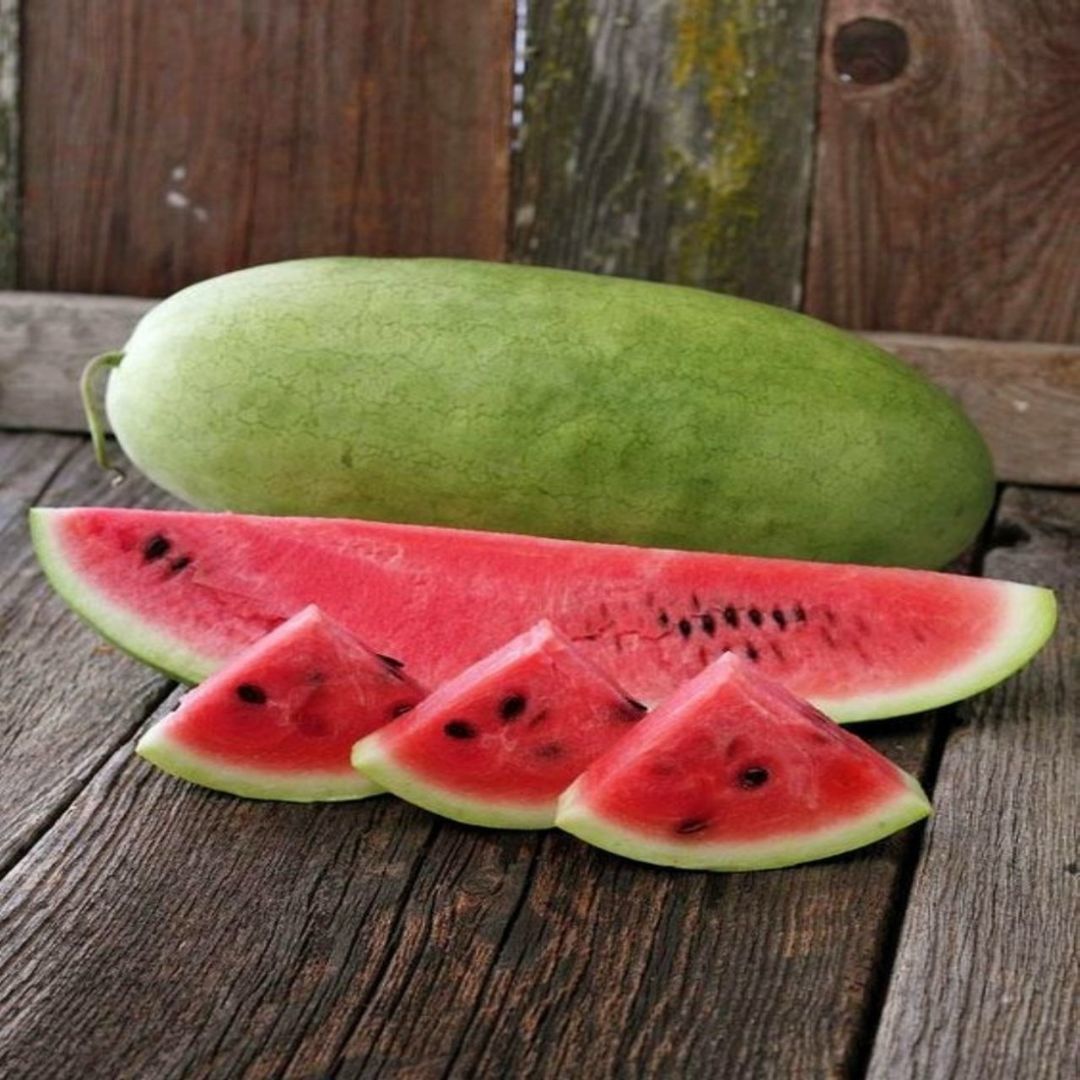 арбуз сорт чарльстон грей. удлиненный арбуз. арбуз длинный доставка на дом. удлиненный арбуз. арбуз микадо f1.