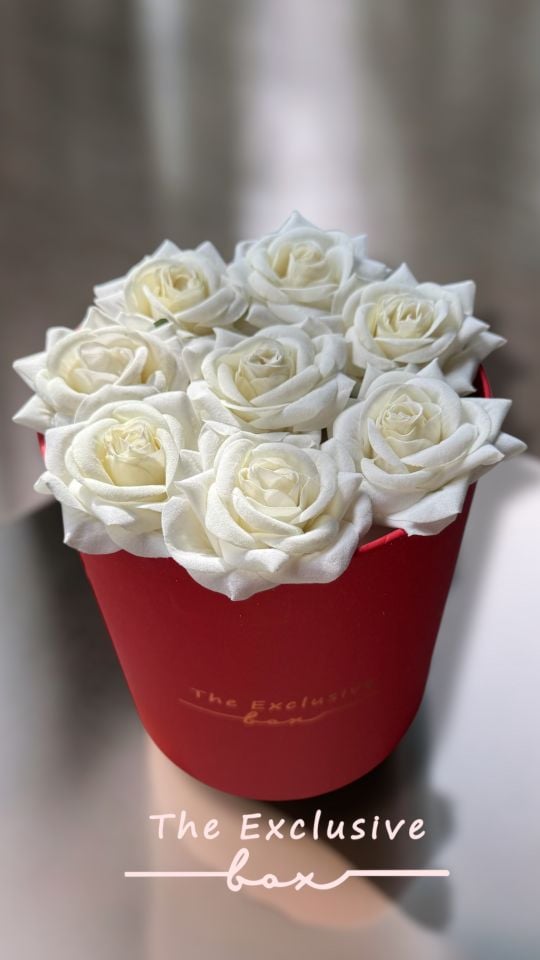 Rose Box -B