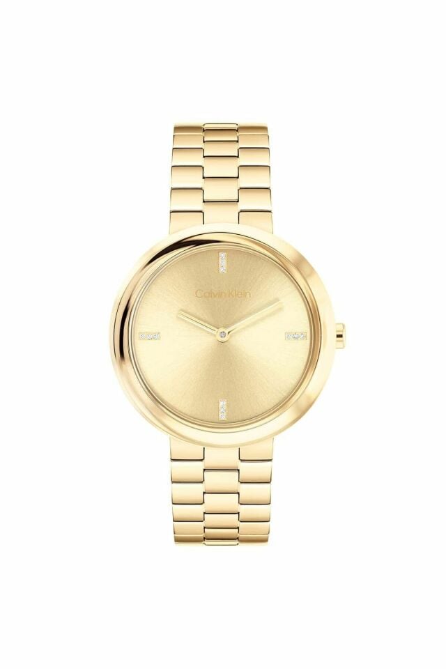 Calvin Klein CK25100094 Kadın Kol Saati