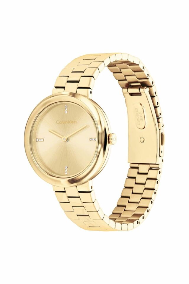 Calvin Klein CK25100094 Kadın Kol Saati