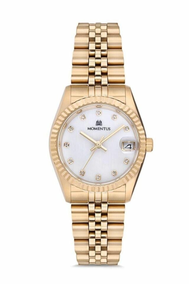 MOMENTUS Sw132g-02sg
