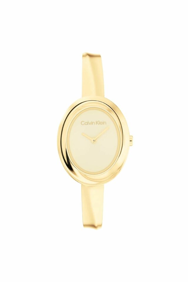 CALVIN KLEIN CK25100056 KADIN KOL SAATİ