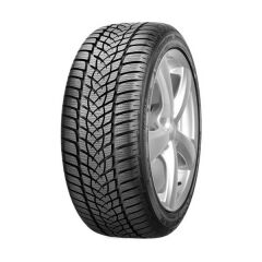 Goodyear Ultragrip Performance 2 Ms Rof Fp K205/50/17 89H Kış Lastiği