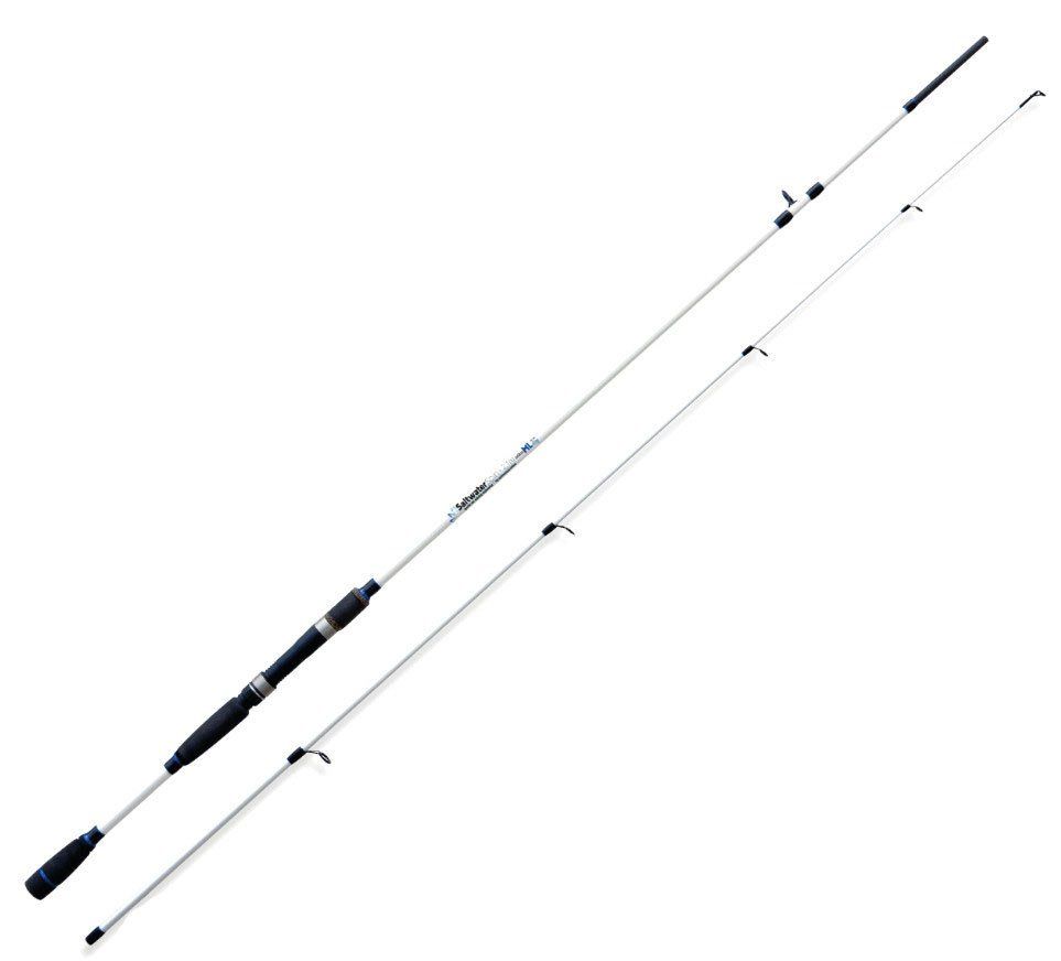 Lineaeffe Saltwater Spin 2.70Mt 60gr Spinning Kamışı