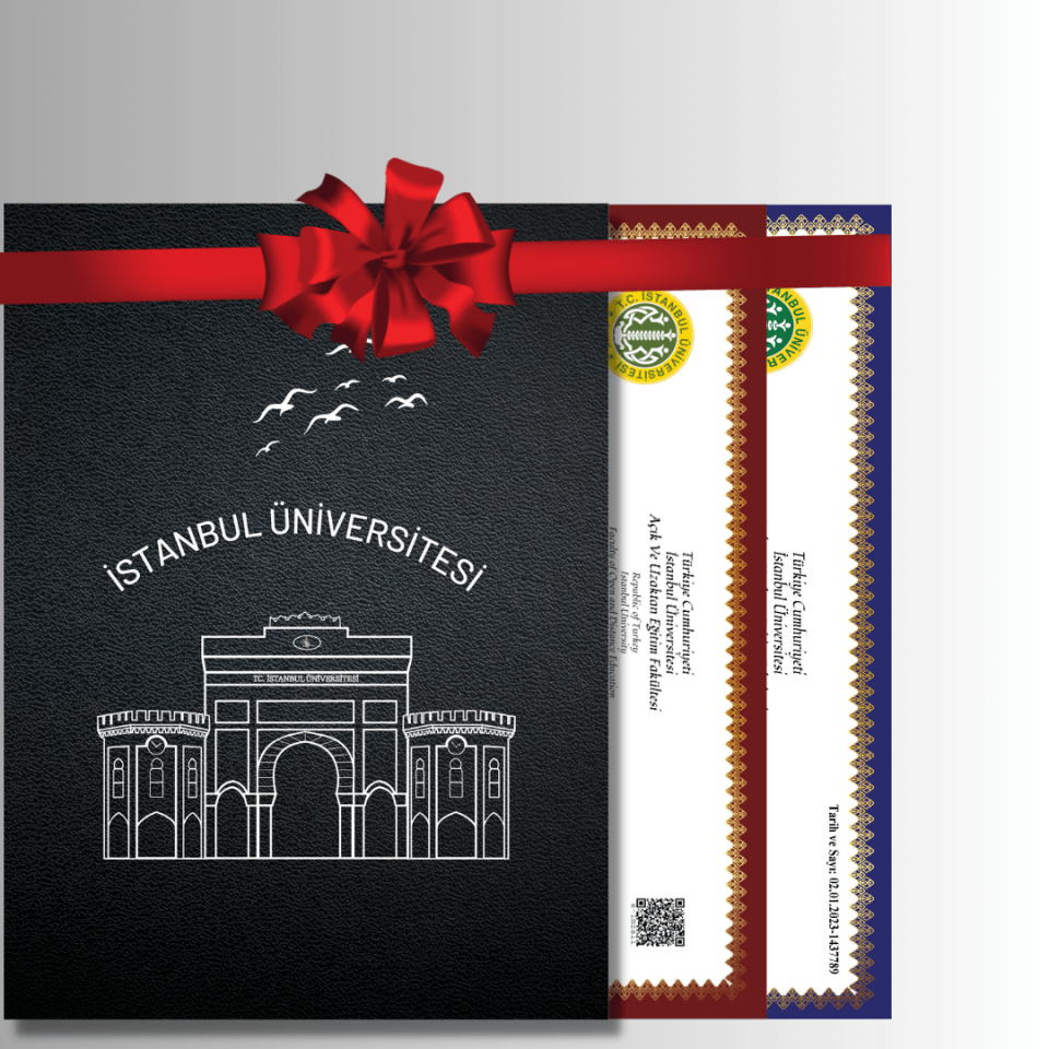 Özel Tasarım Siyah GÜMÜŞ Yaldızlı Diploma Dosyası Ve Sedef Kağıda Özel Baskı