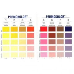 Permolit Permokolor Üniversal Renklendirici 50 Ml.