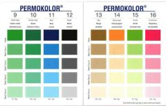 Permolit Permokolor Üniversal Renklendirici 50 Ml.