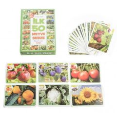 Diytoy Doğasında İlk 50 Meyve Sebze Eğitici Kartlar