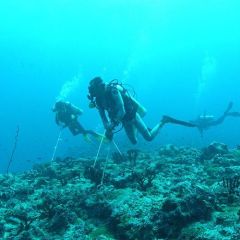 KRAKEN Akıntı Kancası RDH2 Klipsli