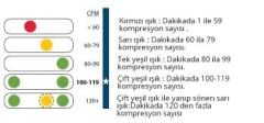 Prestan Yetişkin Işıklı Temel Yaşam Desteği ( CPR )Mankeni