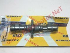 RAMZEY 125-10V ÇİFT SİLİNDİR EKSANTRİK MİLİ ORJ