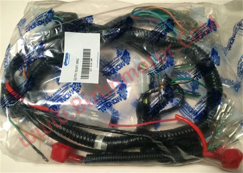 MONDİAL MG KİNG 150 ELEKTRİK TESİSATI