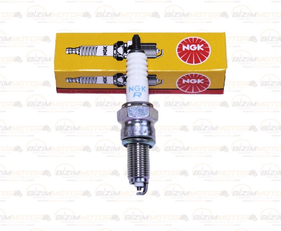 Mondial KD 125 F Buji (Ngk Japon)