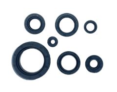 Mondial MCT 250 Motor Keçe Takımı