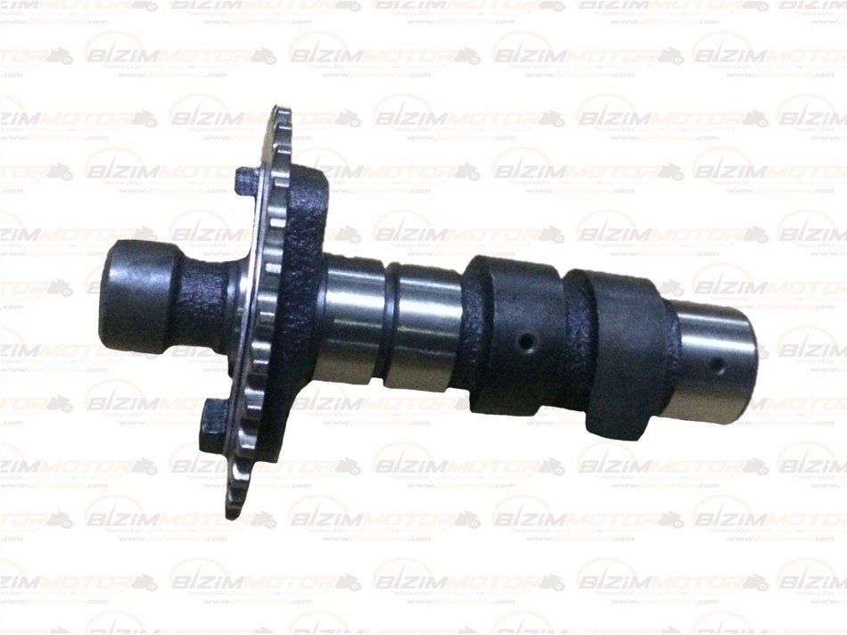 RKS 150 EKSANTRİK MİLİ