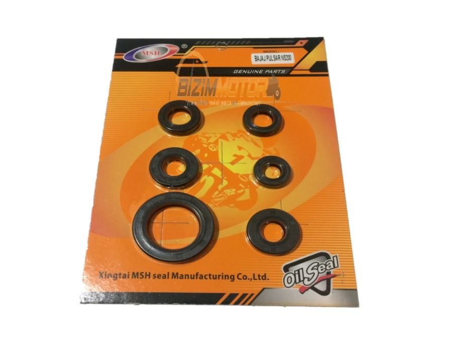 Bajaj Pulsar NS 200 Motor Keçe Takımı