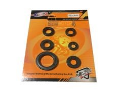 Bajaj Pulsar NS 200 Motor Keçe Takımı