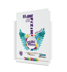 Yayın Denizi Yayınları 11. Sınıf Pro Simülatör S.B. Fizik - 2022-23