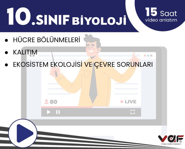 Vaf Yayınları 10.Sınıf Aktivasyon Kartı Biyoloji - 2022