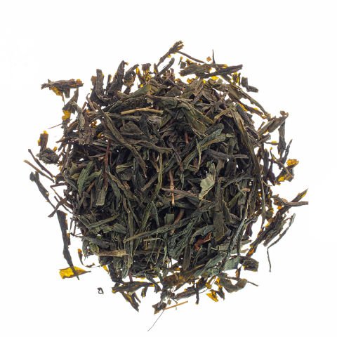 Sencha