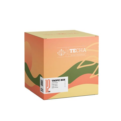 No:12 Tropic Box