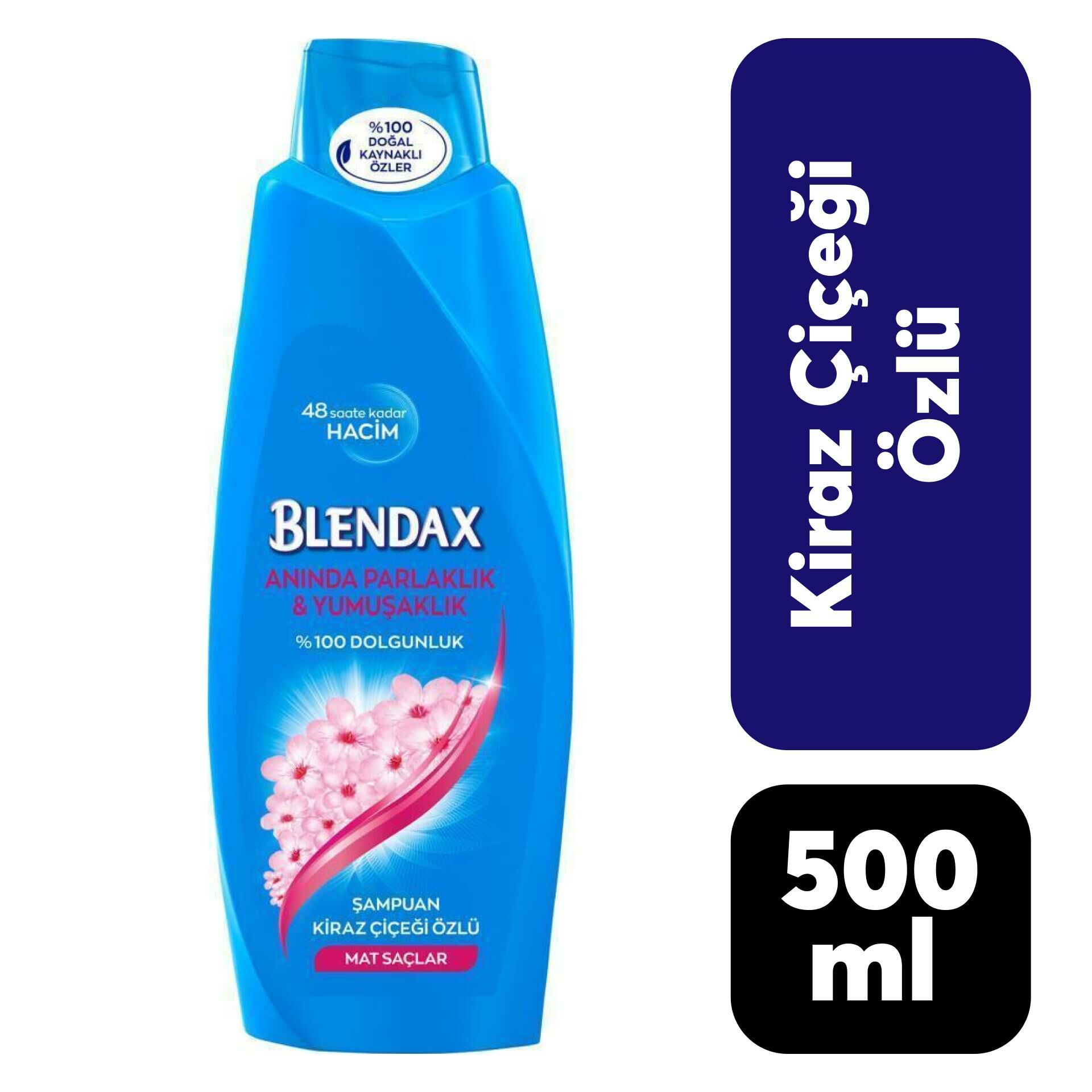 Blendax Şampuan 500 ml Mat Saçlar