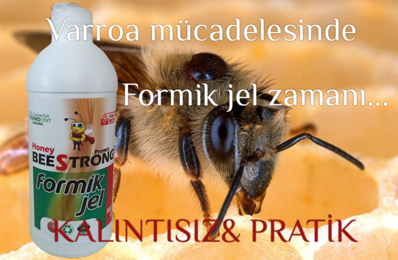 Formik Jel (0.500ML)