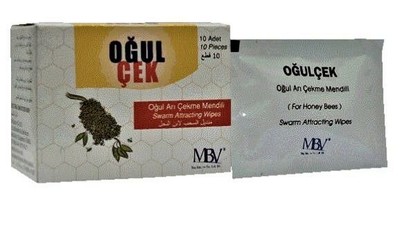 Oğul Çek Mendil