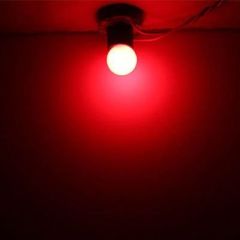 Marketcik 1 Watt Kırmızı Led Ampul, E27 Normal Duylu Top Led Ampul
