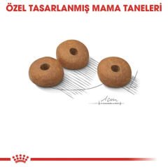 Royal Canin Light Weight Care Kedi Maması 1.5Kg