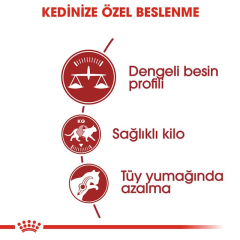 Royal Canin ® Fit 32 Yetişkin Kedi Maması 10 Kg