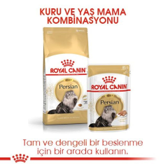 Royal Canin Persian İran Kedisi Yetişkin Kuru Kedi Maması 10Kg