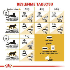Royal Canin Persian İran Kedisi Yetişkin Kuru Kedi Maması 10Kg