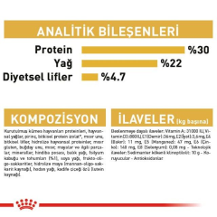Royal Canin Persian İran Kedisi Yetişkin Kuru Kedi Maması 10Kg