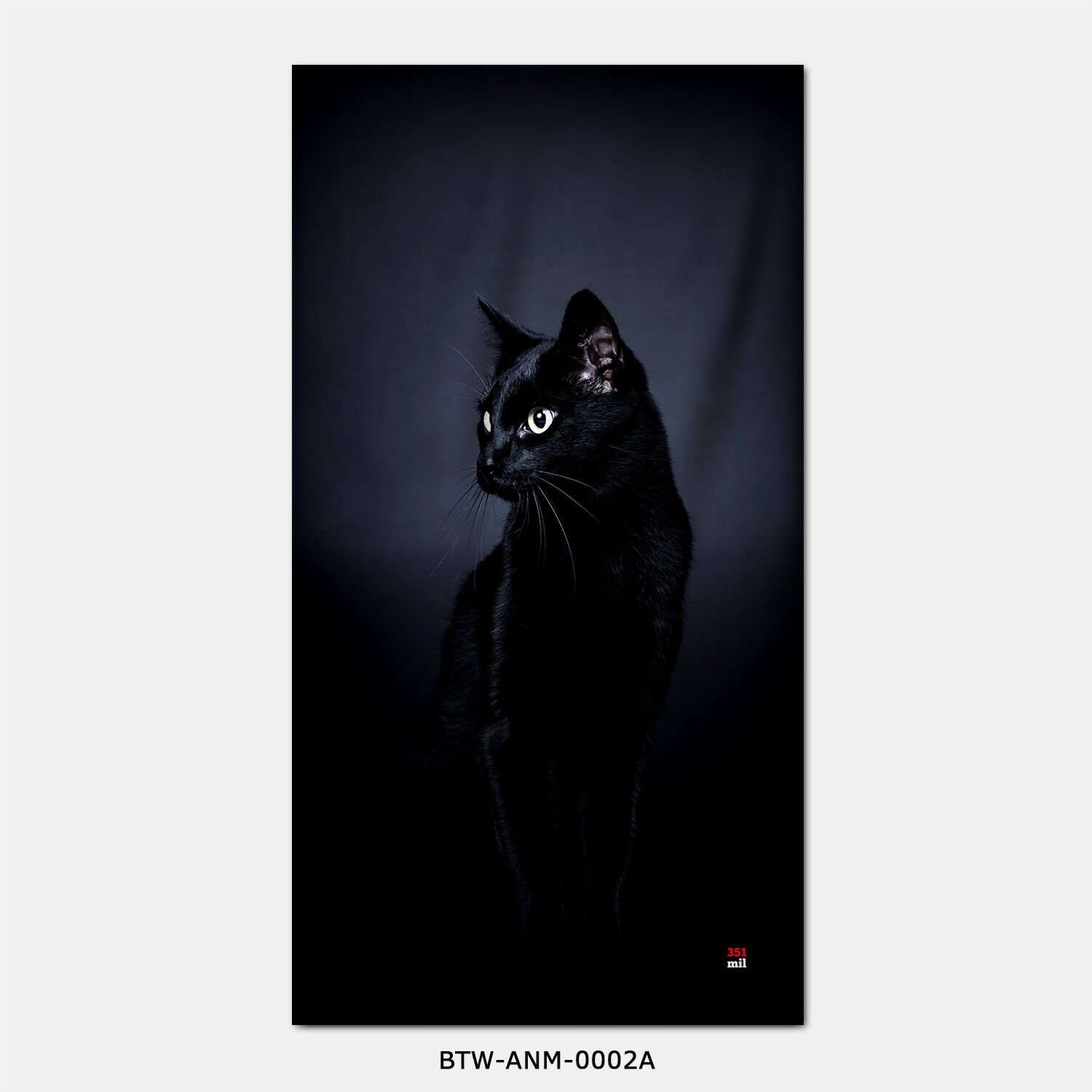 351mil Plaj Havlusu BTW-ANM-0002 CAT