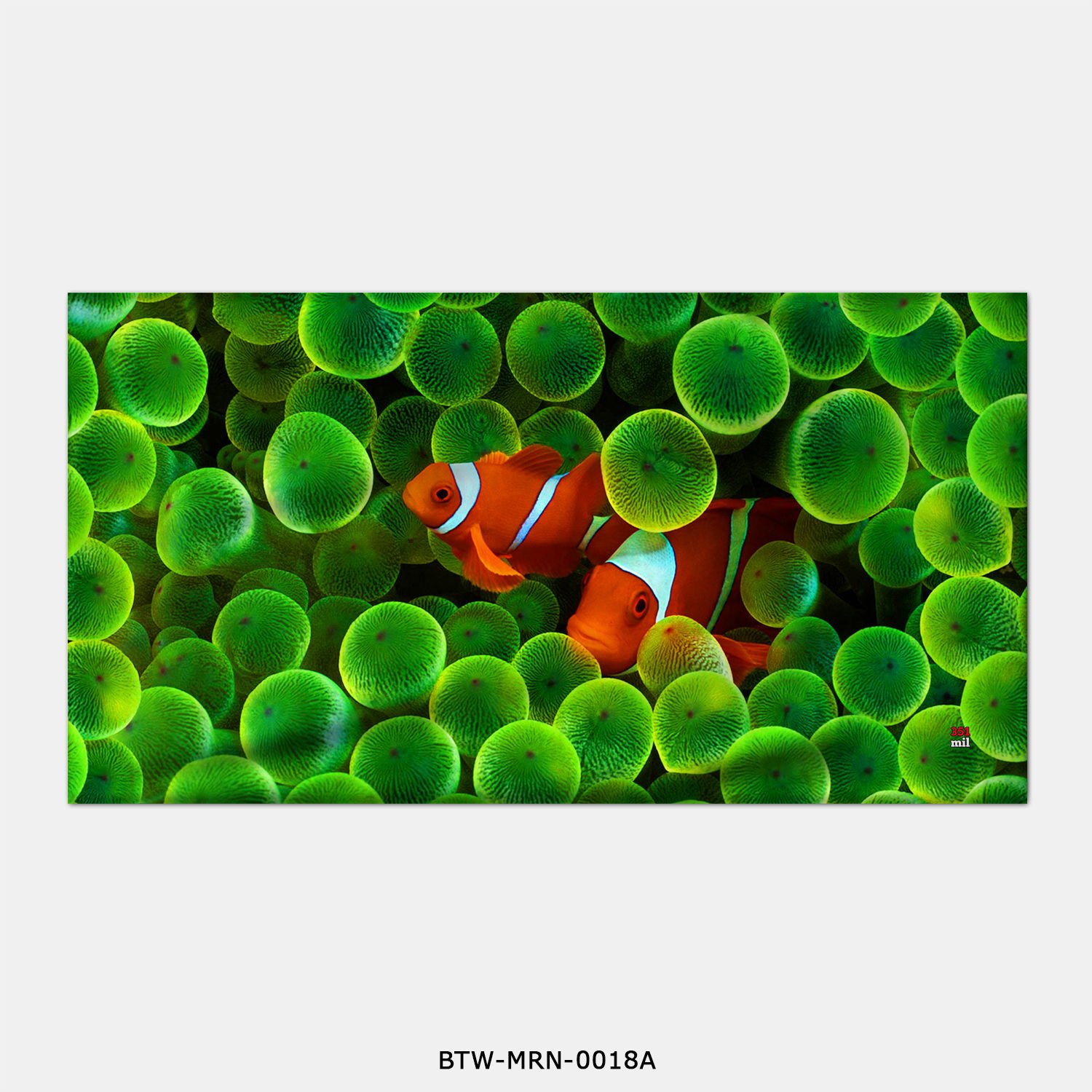 351mil Plaj Havlusu BTW-MRN-0018 NEMO
