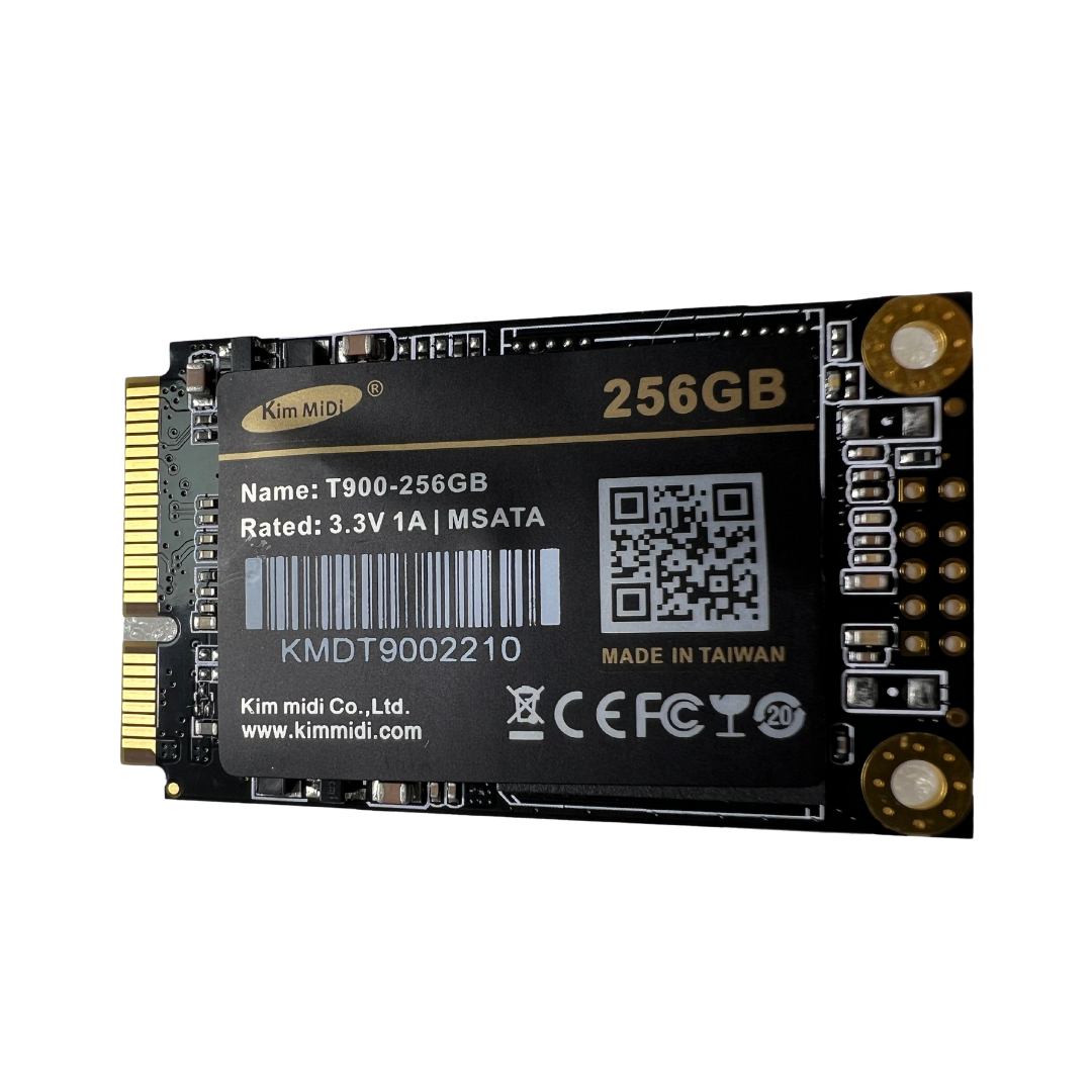 256 GB M SATA SSD