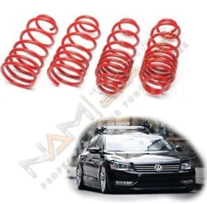 Volkswagen Passat B7 Spor Yay Helezon 50MM/50MM 2011-2015 Coil-Ex