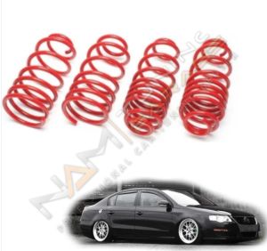 Volkswagen Passat Spor Yay Helezon 30MM/30MM 2005-2011 Coil-Ex