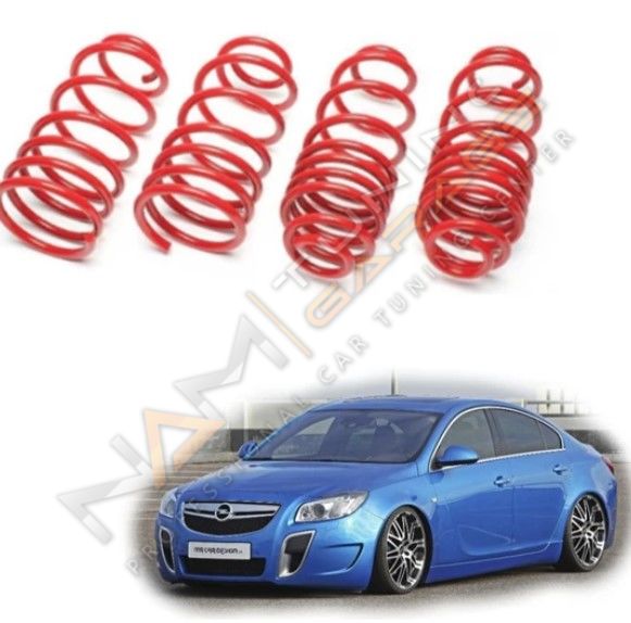 Opel Insignia Spor Yay Helezon 45MM/45MM 2008-2017 Coil-Ex