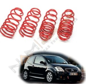 Citroen C2 Spor Yay Helezon 45MM/45MM 2003-2008 Coil-Ex