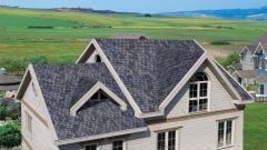 BTM Shingle Dragon Yeşil