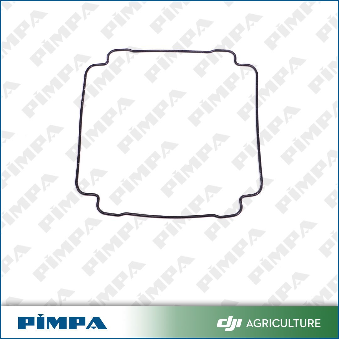 Sealing Ring